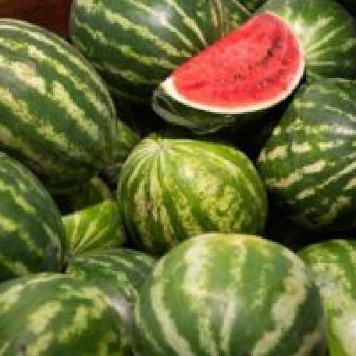 Operațiunea &quot;Pepenele românesc&quot;: Autoritatea Națională Fitosanitară desfășoară controale pentru determinarea reziduurilor de pesticide