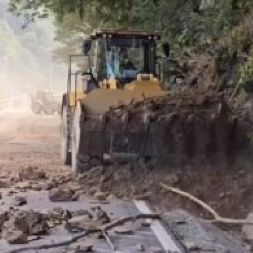 Probleme pe Valea Oltului: caderi de pietre si material lemnos din cauza lucrarilor de defrisare