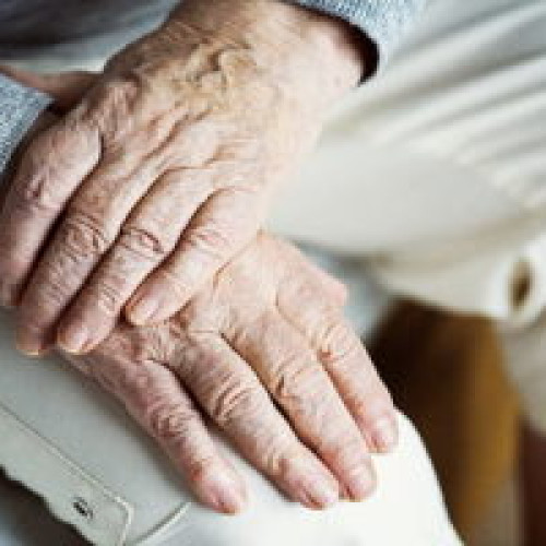 Dieta influențează semnificativ procesul de îmbătrânire