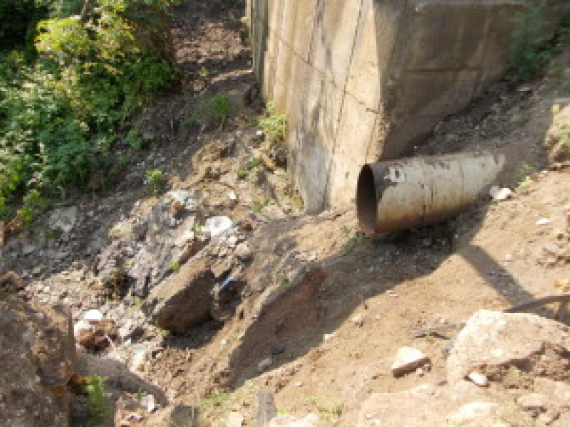Image Description