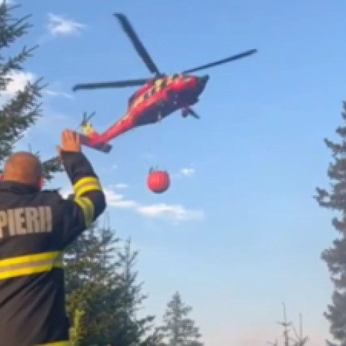 Incendiul de fond forestier din Vistea Mare continua sa se extinda