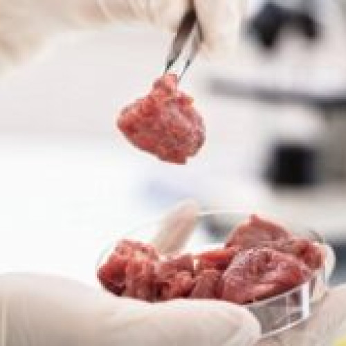 Marea Britanie, prima țară din Europa care permite comercializarea cărnii de laborator