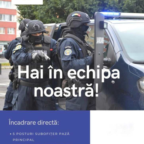 Inspectoratul de Jandarmi Județean &quot;Nicolae Titulescu&quot; angajează