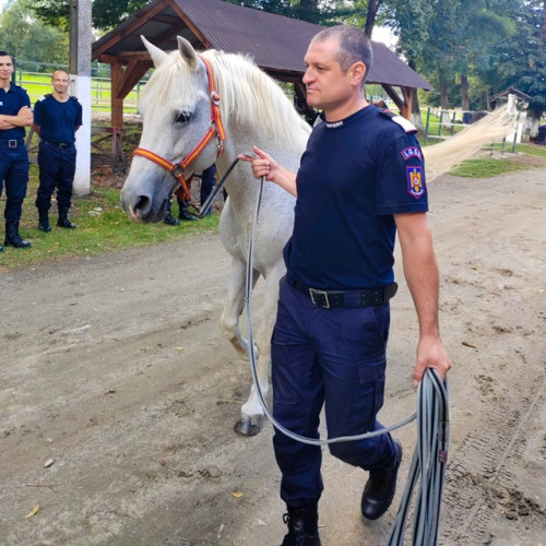 Pompierii din trei județe s-au pregătit pentru salvarea animalelor în medii ostile