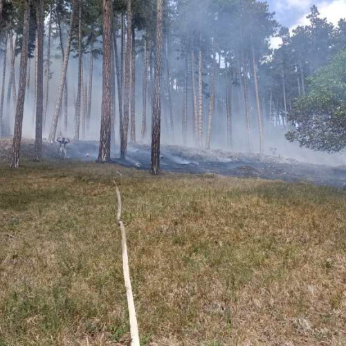 Incendiu de vegetație în Râșnov: Pompierii se luptă cu flăcările