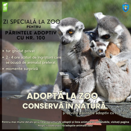 Program special pentru adopția animalelor la Grădina Zoologică Brașov