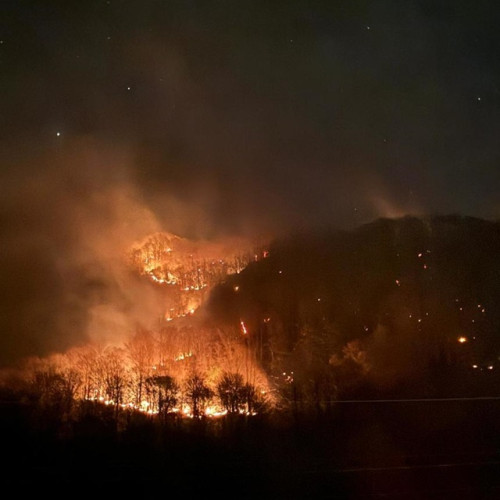 Pompierii din Brașov intervin la un incendiu de vegetație uscată în zona Maieruș