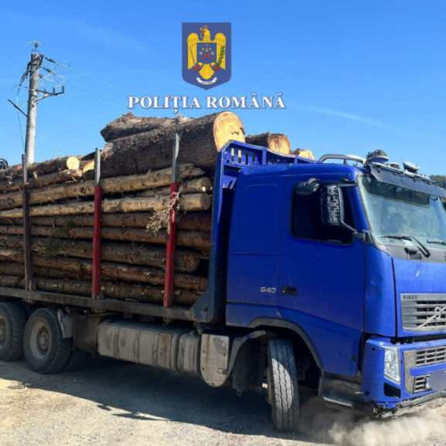 Cercetări penale după un transport ilegal de material lemnos în Râșnov