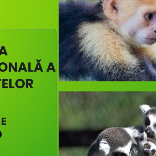 Ziua internațională a primatelor la Zoo Brașov