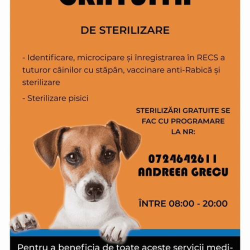 Locuitorii din Bran pot steriliza gratuit câinii și pisicile