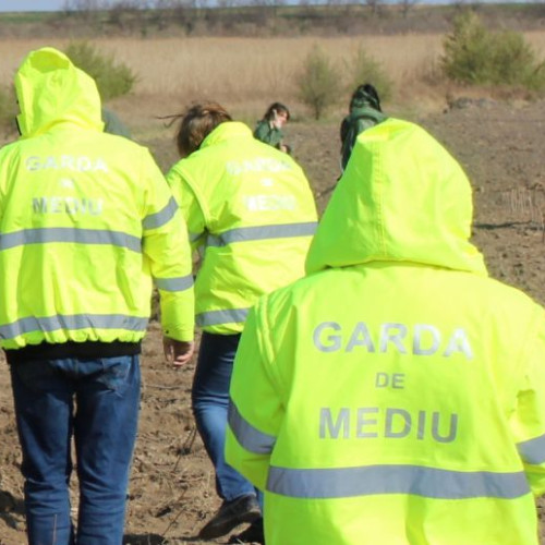 Garda de Mediu Covasna a efectuat 65 de controale în august