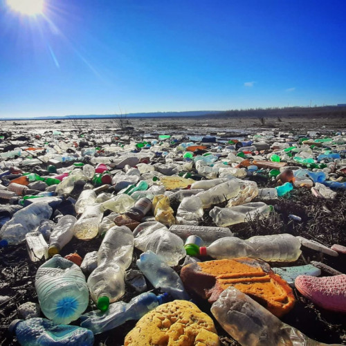 Poluarea plasticului generează costuri uriașe la nivel mondial, potrivit unui raport WWF