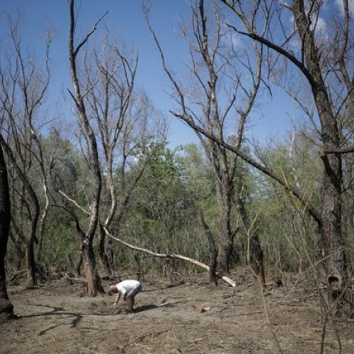 Fragmente de dronă rusească, descoperite în județul Tulcea