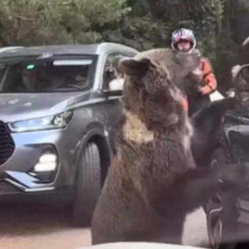 Gest inconștient al unui șofer pe Transfăgărășan