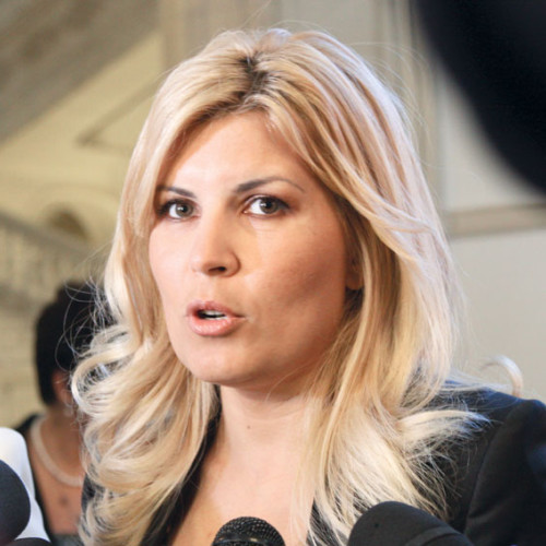 Elena Udrea rămâne în detenție: Înalta Curte amână pronunțarea până în noiembrie 2024