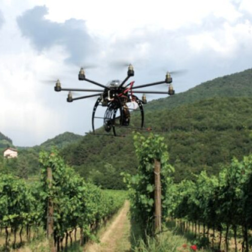 Utilizarea dronelor în viticultură, o practică tot mai răspândită