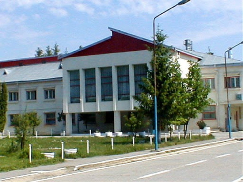 Image Description
