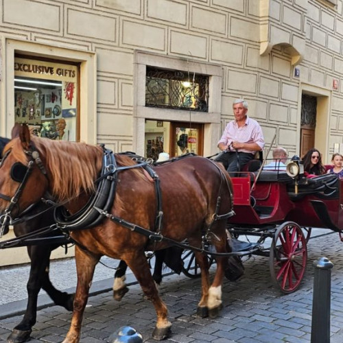 Dorian Lungu, chocolatier din Brașov, analizează sustenabilitatea economică a României