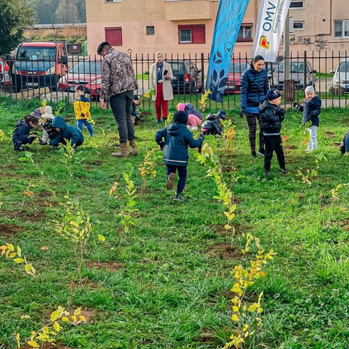 1.750 de arbori și arbuști, plantați în Făgăraș cu ajutorul voluntarilor