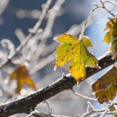 Vremea se răcește în următoarele zile, cu temperaturi negative în București