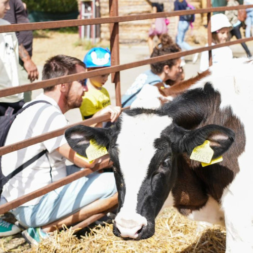 Agroturismul în România: o oportunitate pentru fermieri și familii