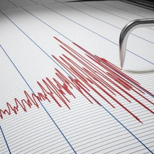 Cutremur în zona seismică Vrancea, duminică după-amiază