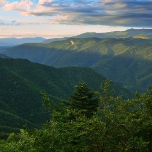 CEDO obligă România să restituie 17.000 de hectare de teren