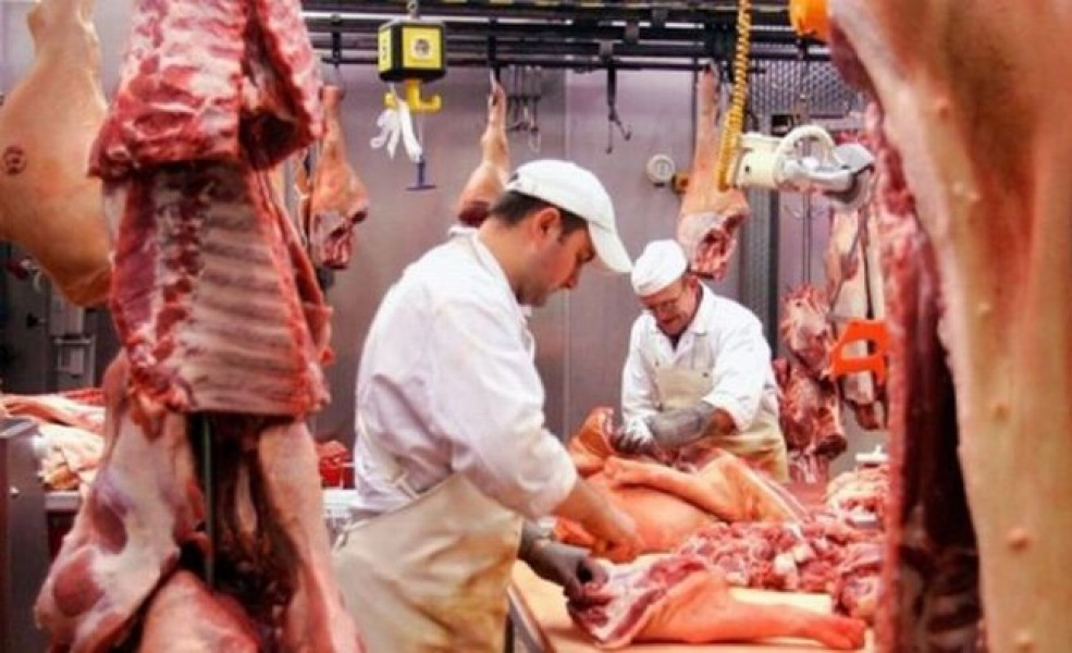 Creșterea sacrificărilor la porcine, ovine, caprine și păsări în 2024, scădere la bovine