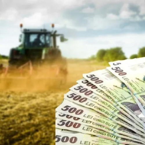 APIA începe Campania de primire a Cererilor de plată pentru 2025