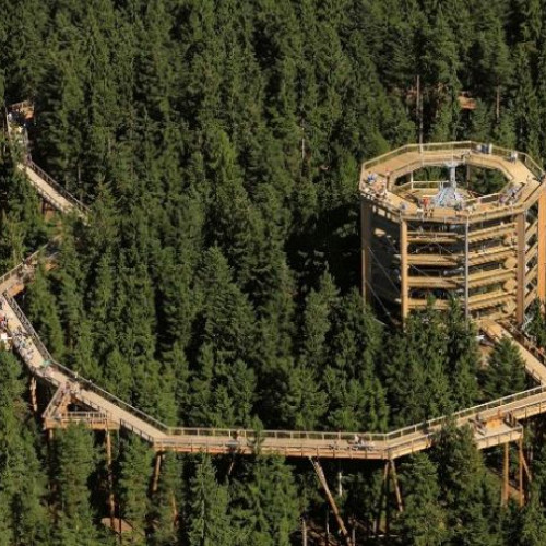 Proiect inovator pentru pădurile urbane din Brașov