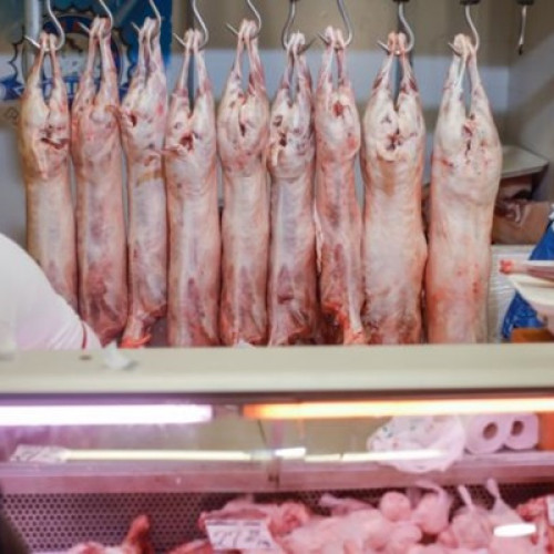 Interceptări ale ANSVSA: carcase de ovine fără documente legale