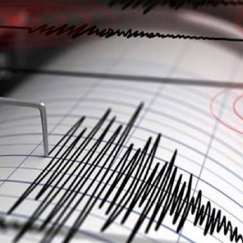 Cutremure seismice în zona Vrancea