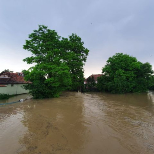 Inundații în Dumbravita: Două gospodării afectate