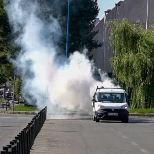 Coral Impex va efectua tratamente împotriva insectelor în Brașov