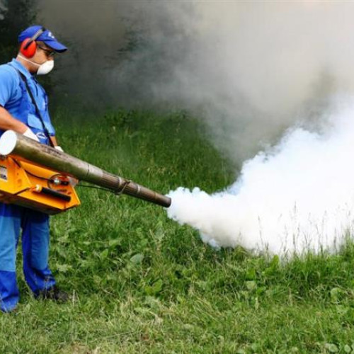 Primăria Prejmer va realiza acțiuni de dezinsecție pentru combaterea insectelor