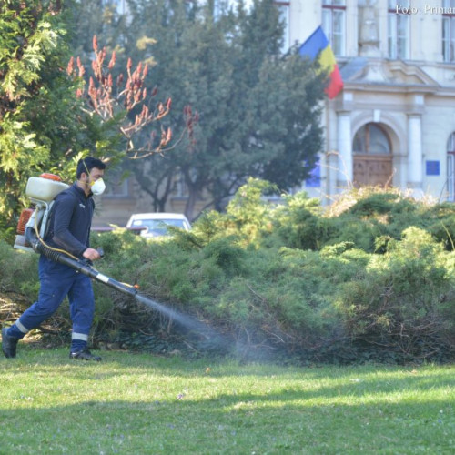 De miercuri, echipele operatorului Coral vor demara o nouă campanie de combatere a căpușelor și de tratamente la arbori și arbuști în Brașov