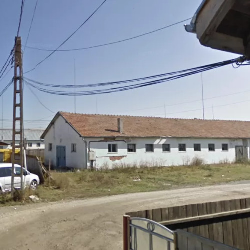 Un crematoriu pentru animale de companie, planificat în județul Brașov