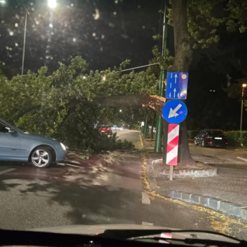 Copac căzut peste mașină în Brașov, pompierii intervin