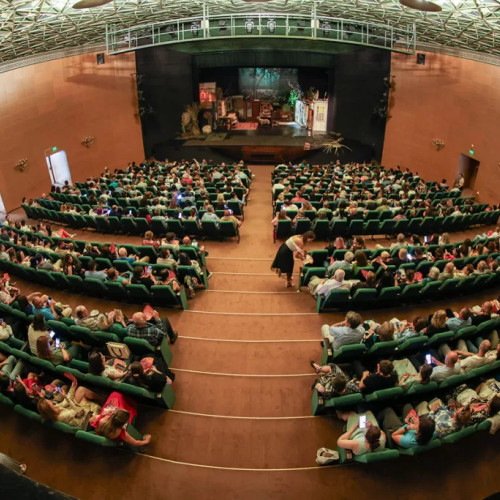 Teatrul Nottara și Teatrul de Comedie, marii câștigători ai Festivalului Săptămâna Comediei 2025 de la Brașov