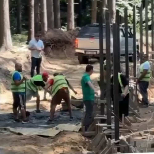 primăria brașov acționează pentru protejarea ursilor și siguranța cetățenilor