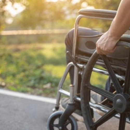 ministrul muncii anunță reformarea sistemului de acordare a gradelor de handicap