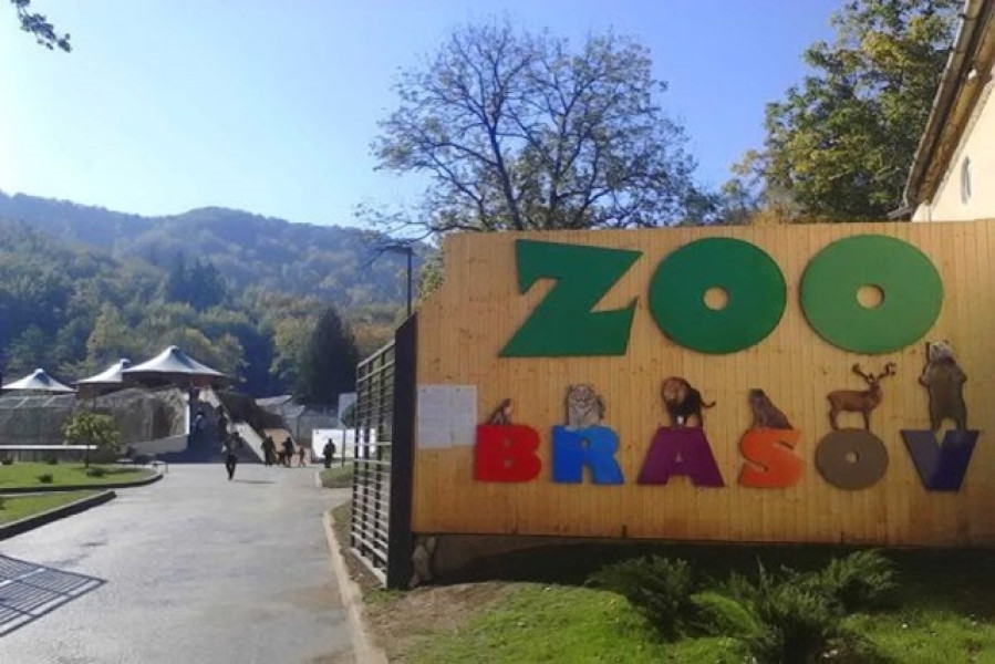 Zoo Brașov își modifică programul de vizitare odată cu începerea noului an școlar