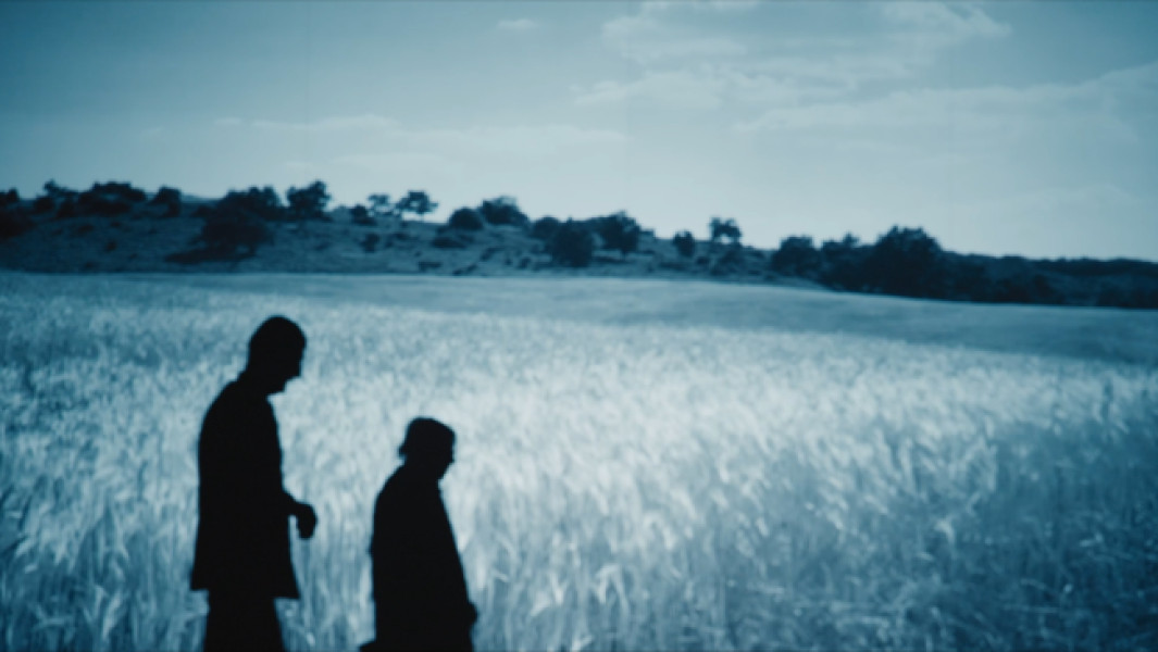 Pădurea de molizi readuce drama basarabeană la Fântâna Albă în cinema