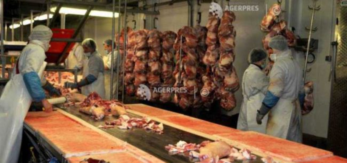 Producția de carne crește la bovine, porcine și păsări, scade la ovine și caprine
