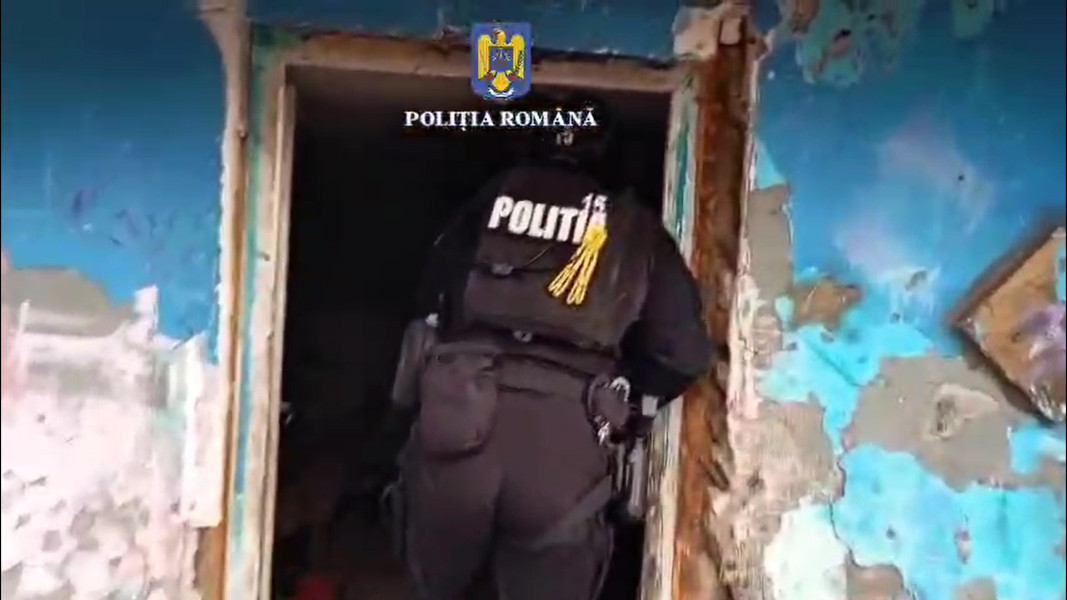 Pădurar agresat în timpul depistării tăierii ilegale din Sub Stejăris, Brașov