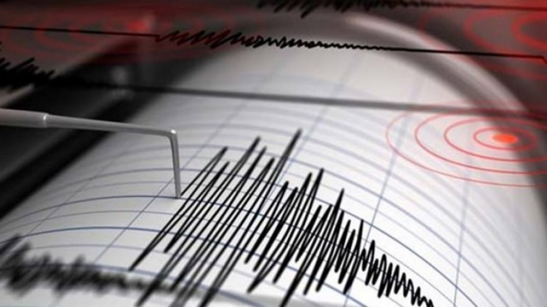 Cutremur de magnitudine 3,1 în zona seismică Vrancea, județul Buzău