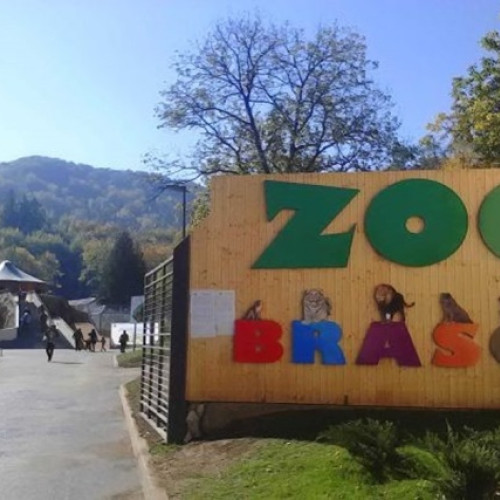 Zoo Brașov intră în programul de iarnă începând cu 1 octombrie