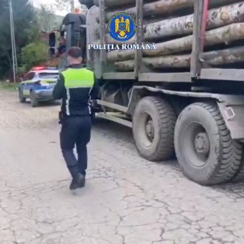 Acțiune a polițiștilor din Brașov împotriva transportului ilegal de material lemnos