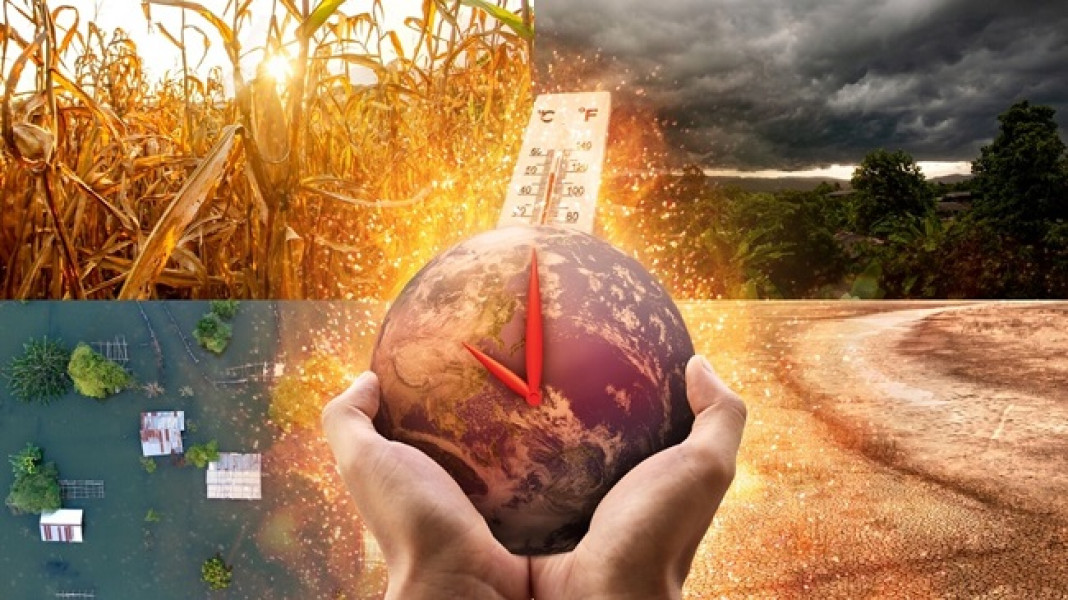 Raport internațional avertizează asupra colapsului climatic și distrugerii recifelor de corali