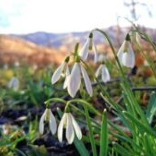 Prognoza meteo pentru următoarea lună dezvăluie temperaturi ridicate și posibile ploi în România